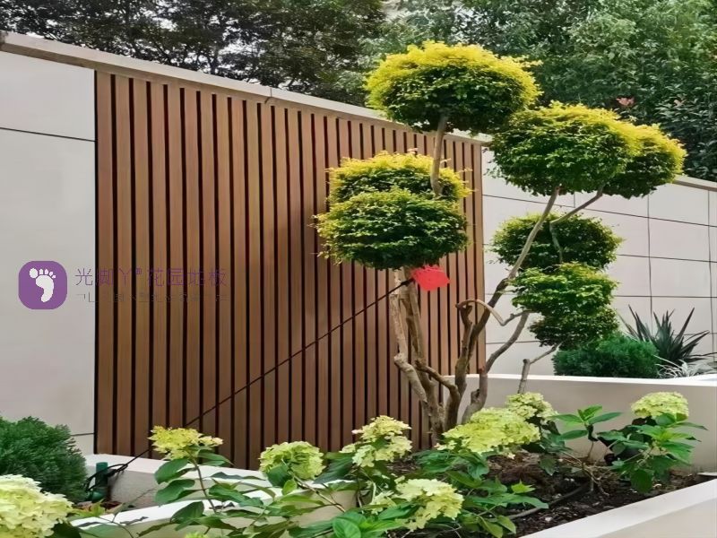 威客电竞·(中国)VKGAME官网入口