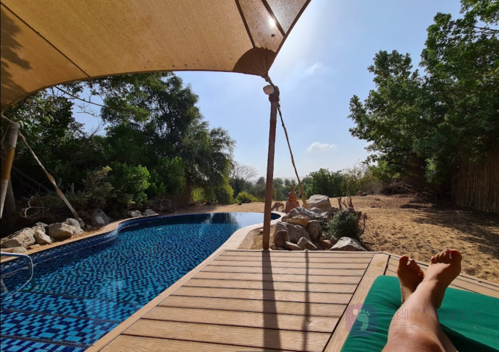 威客电竞·(中国)VKGAME官网入口