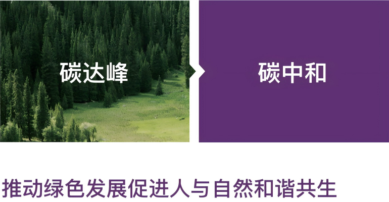 威客电竞·(中国)VKGAME官网入口